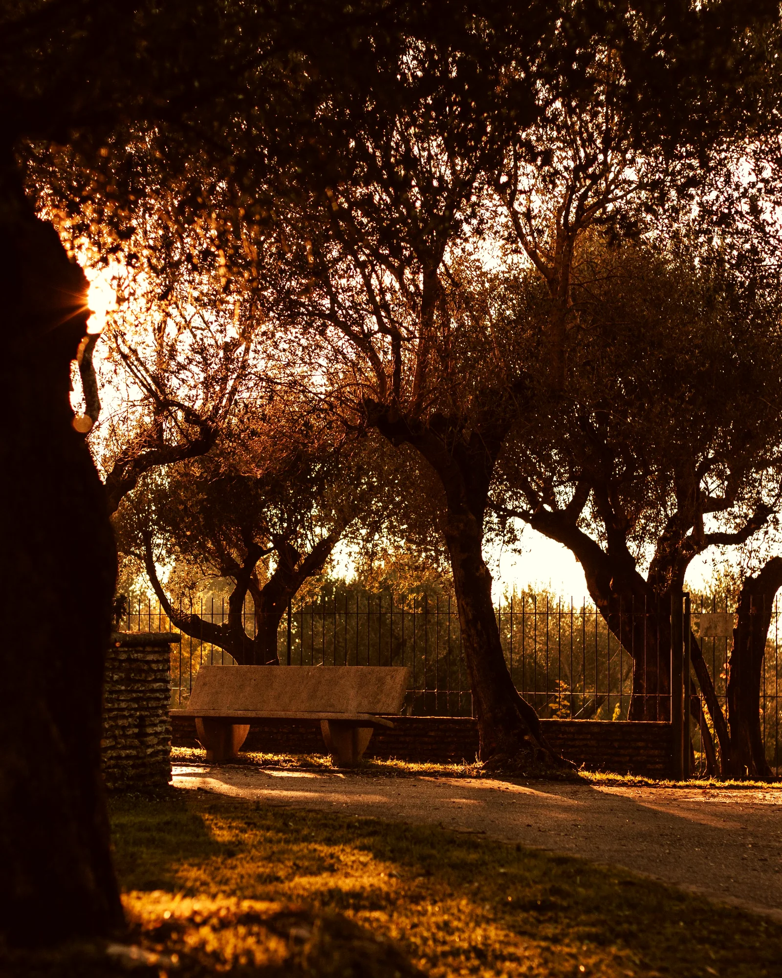 Interior del lobby de Olivar